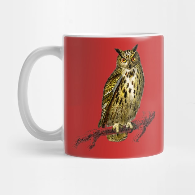 Vintage bubo bubo bird-animalia by Phantom Troupe